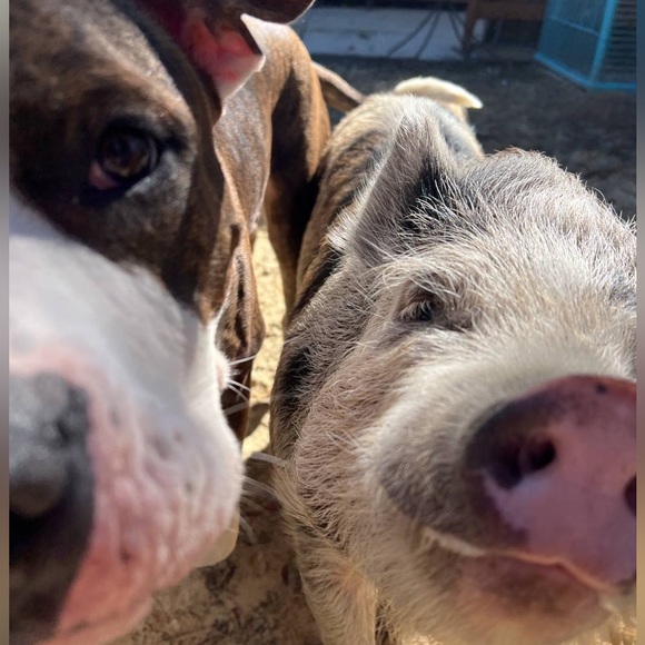 Meet your Posher, Jess - Picture 6 of 7